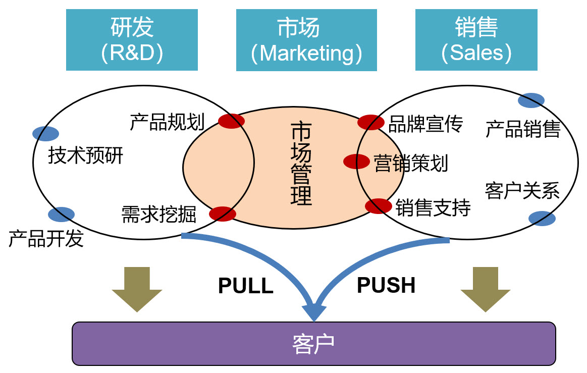 ipd观点洞察